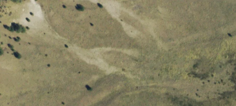 Timbered Recreational Land Tract