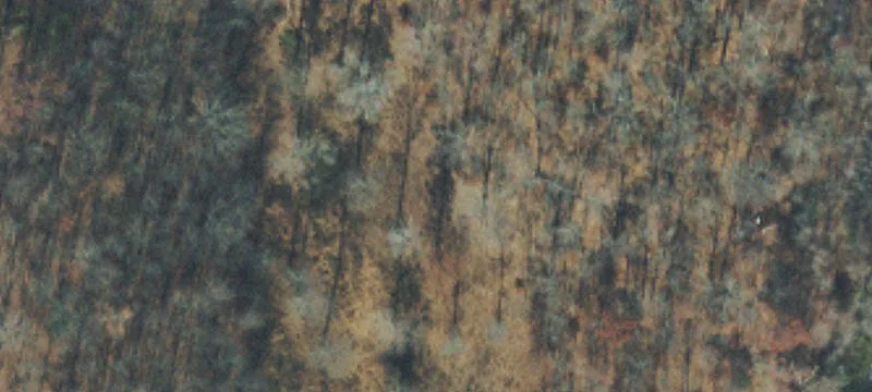 Specialty Land Parcel
