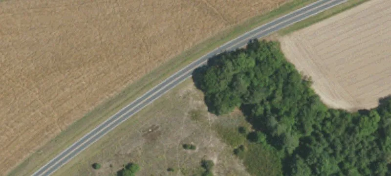 Land / Wooded