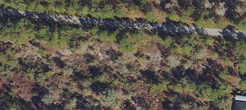 Residential Wooded Lot Opportunity