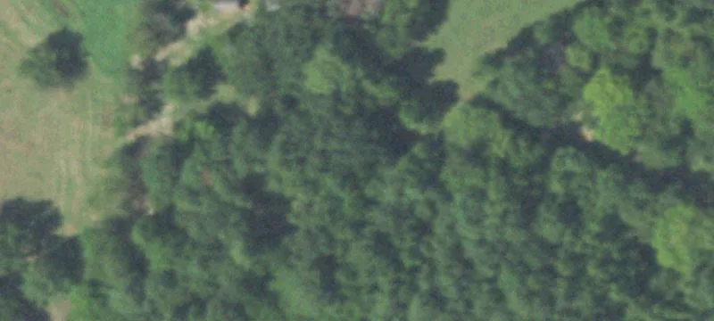 Residential Acreage with Log Cabin