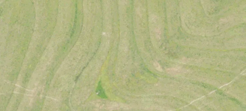 City-Limit Acreage with Lake