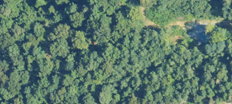 Residential Building Lot in City Limits