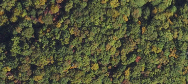Wooded Mountain Land with Clearings