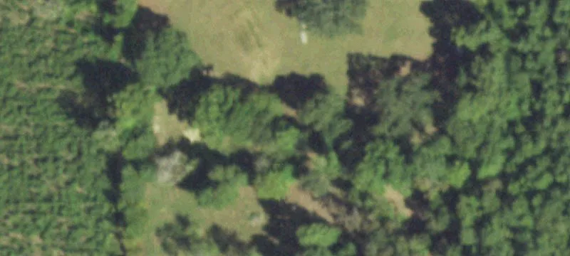 Acreage with Two Residences