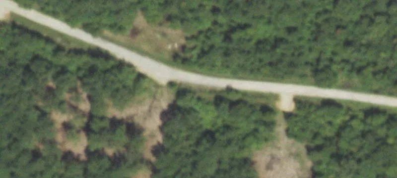 Unrestricted Wooded Hunting Land