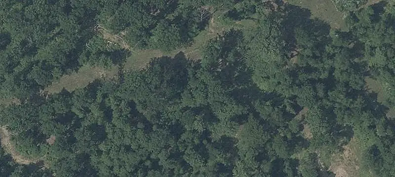 Recreational Acreage with Trails