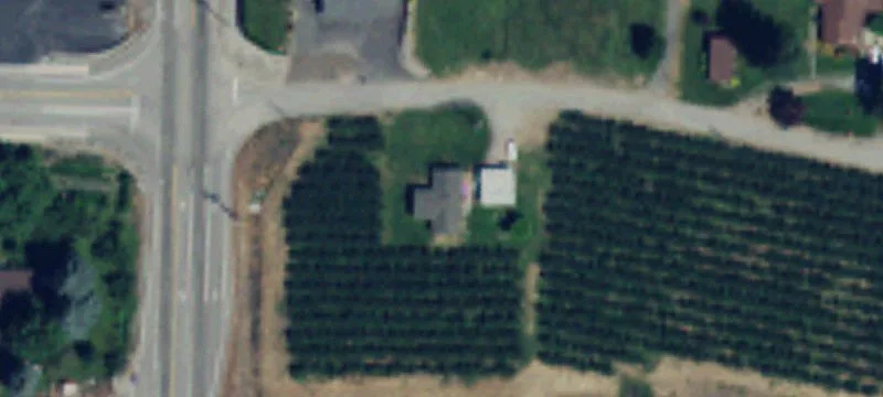 Development Land with Orchard and Home