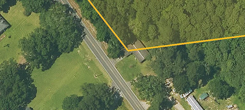 Partially Cleared Vacant Lot