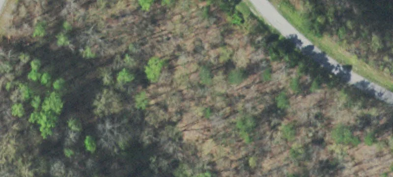 Waterfront Residential Development Land