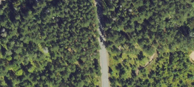 Forested Residential Building Lot