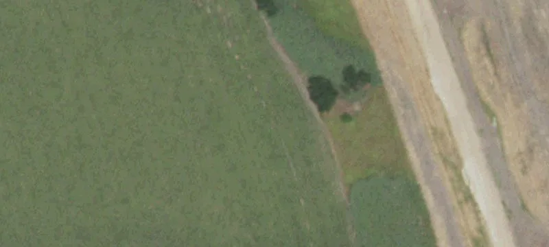 Fully Treed Farmland Tract
