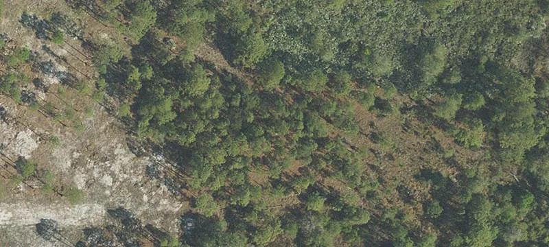 Wooded Residential Land Parcel
