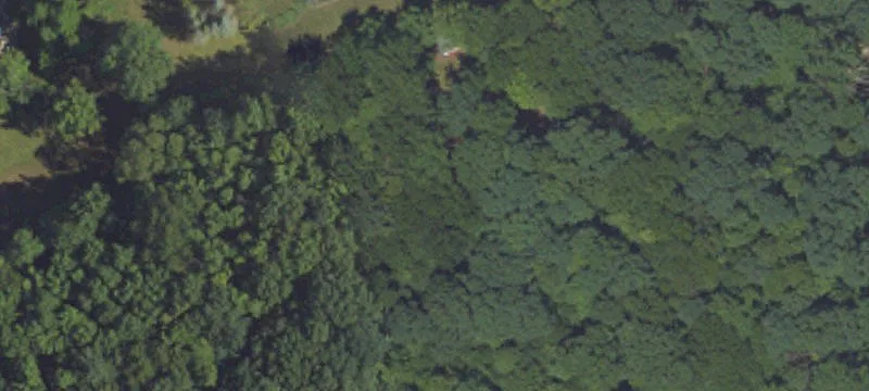 Wooded Hunting Tract Land Parcel