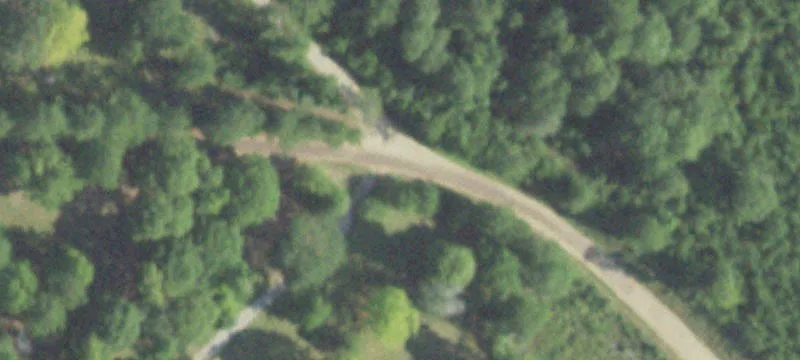 Managed Timber and Hunting Ranch Land