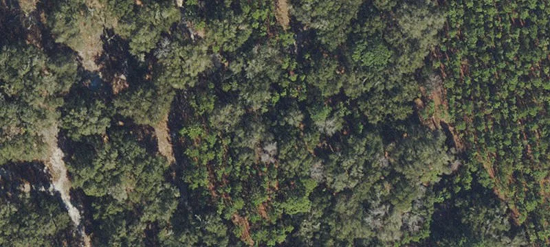 Buildable Recreation Land Parcel