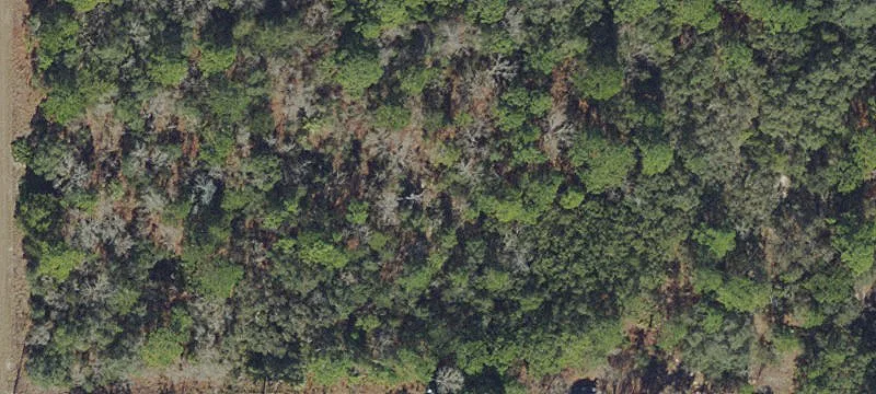 Rural Residential Land Parcel