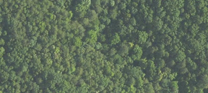 Specialty Land Parcel