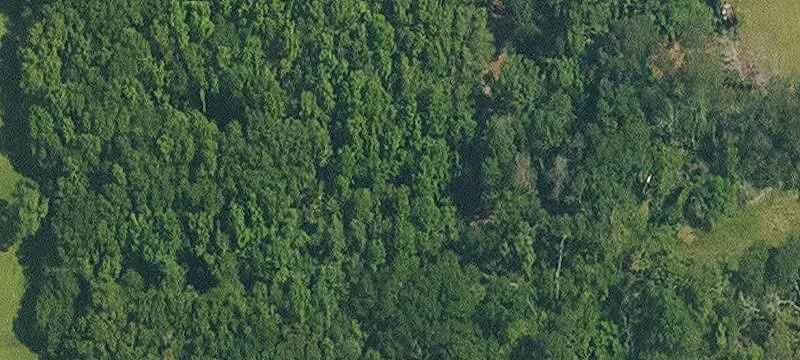 Partially Cleared In-Town Acreage