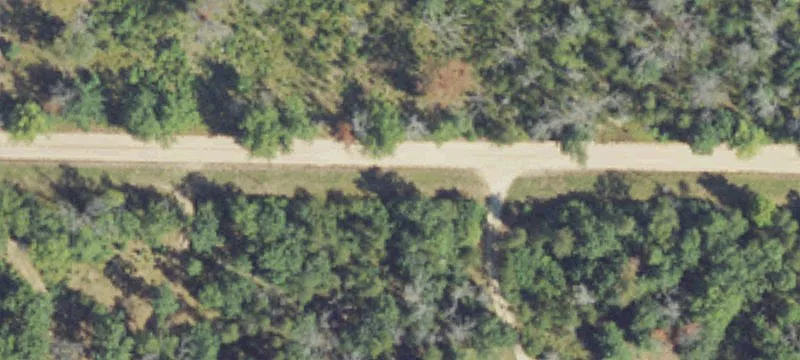 Wooded Waterfront Recreation Parcel