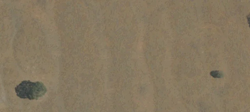 Flat Rural Acreage Parcel