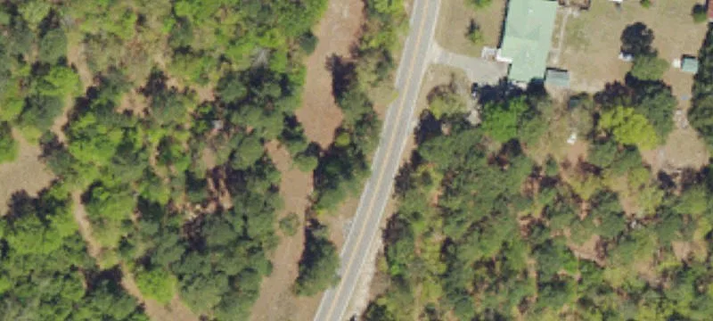 Wooded Hunting Tract with Road Access