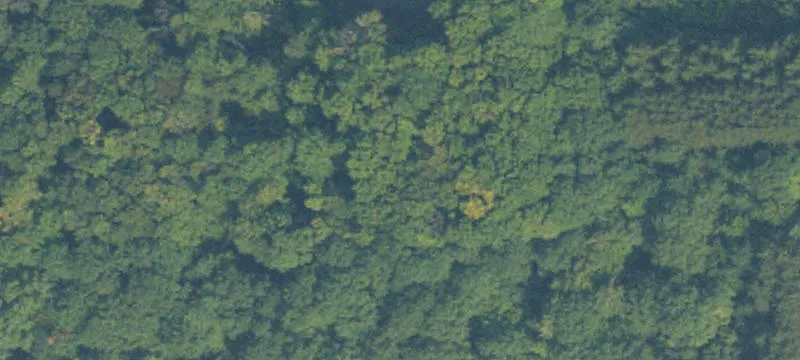 Private Wooded Residential Lots