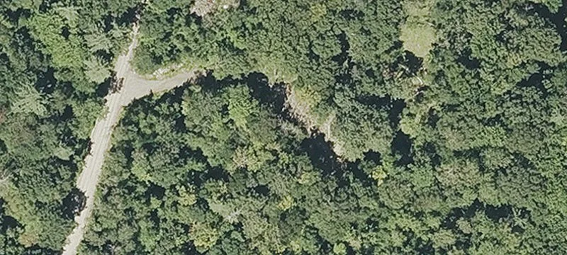 Wooded Residential Land Parcel