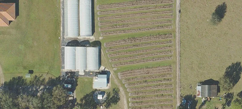 Turnkey Citrus Nursery Property