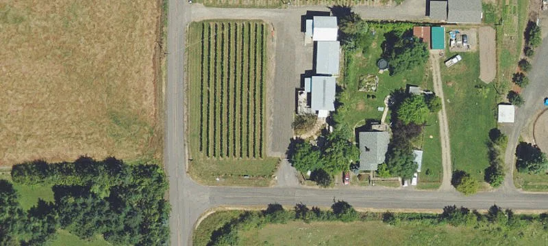 Pinot Noir Vineyard and Winery Site