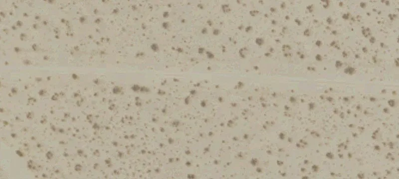 Desert Recreation Land Parcel