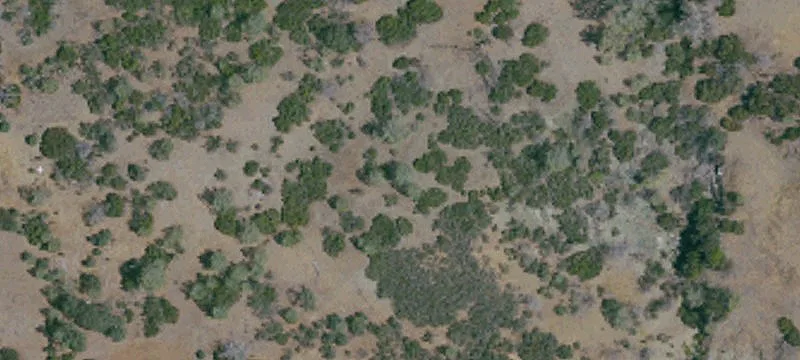 Lot/Land
