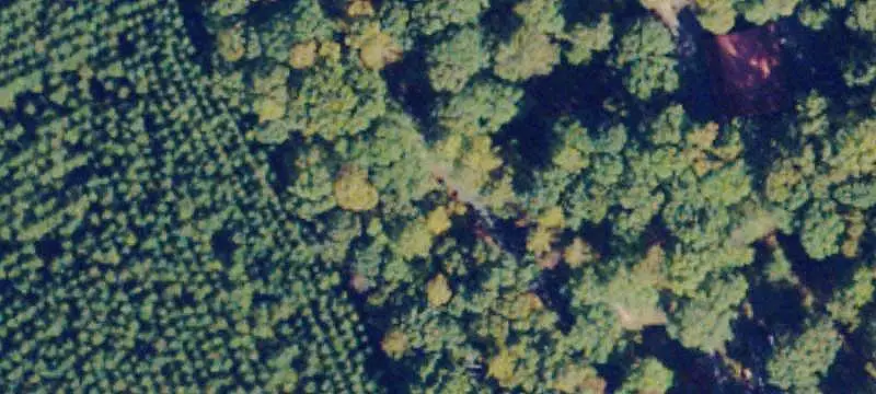 Wooded Residential Land with Creek