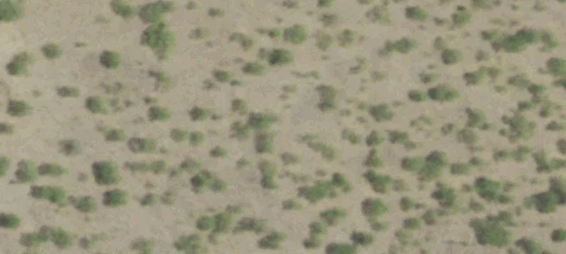 Agricultural Ranch with Improvements