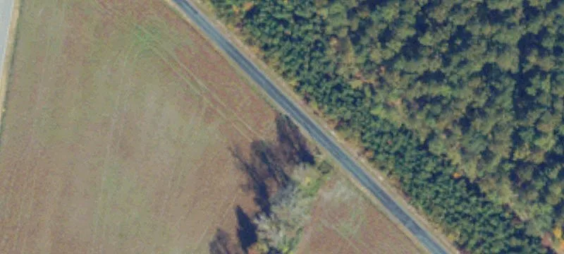 Wooded Buildable Lot Near Beach
