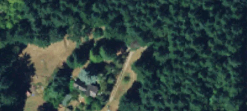 Wooded Acreage Home Site