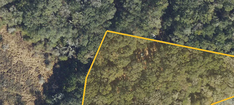 Land with Ponds and Mature Oaks