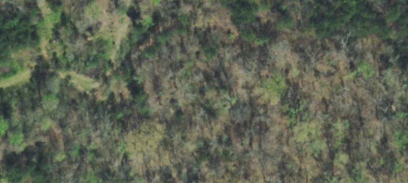 Land Parcel with Multiple Building Sites