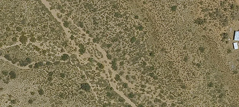 Partly Wooded Land Tract
