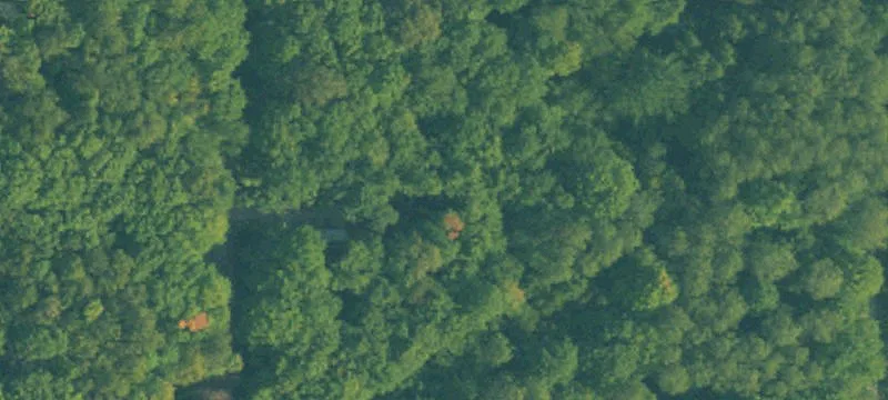 Wooded Recreational Home Lot
