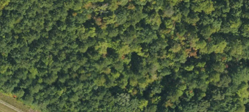 Wooded Cul-de-Sac Home Lot