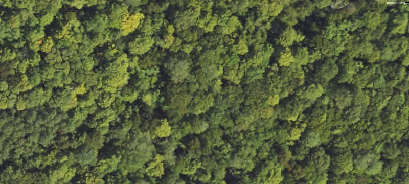 Lake-Adjacent Residential Land Lot