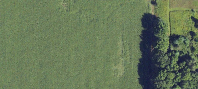 Wooded Cul-de-Sac Homesite Land