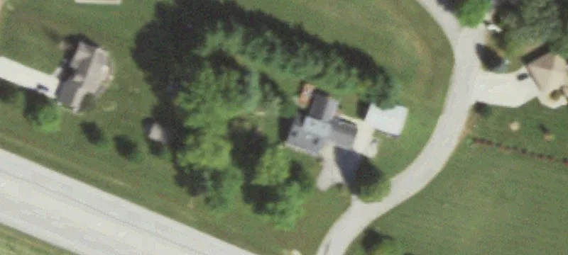 Vacant Building Lot with Mature Trees