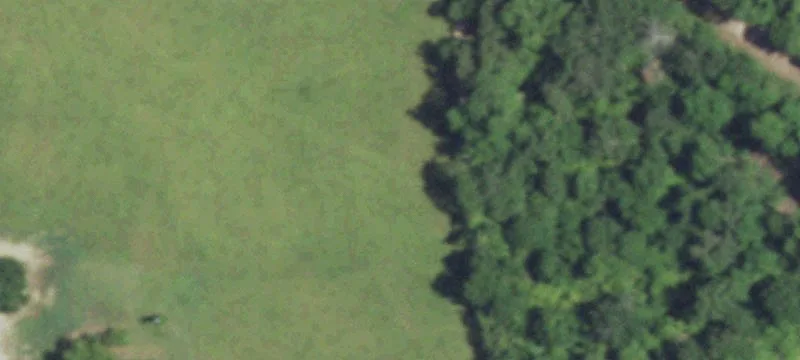 Heavily Wooded Recreational Land