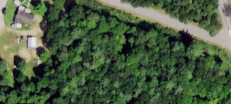 Corner Wooded Home Site
