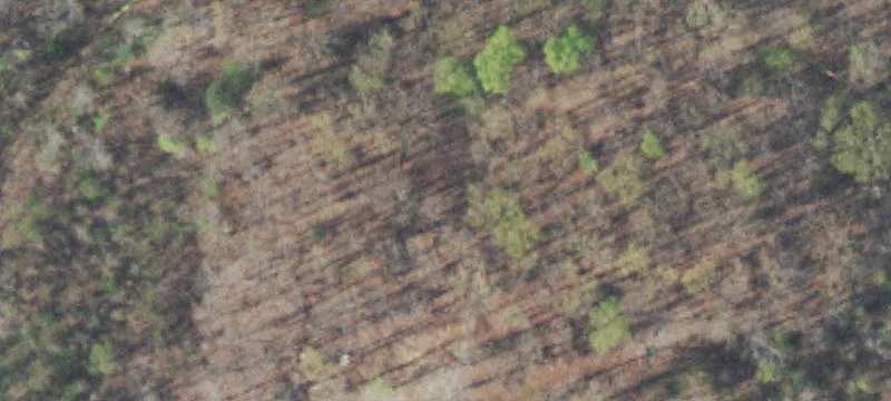 Wooded Property with Insulated Metal Building