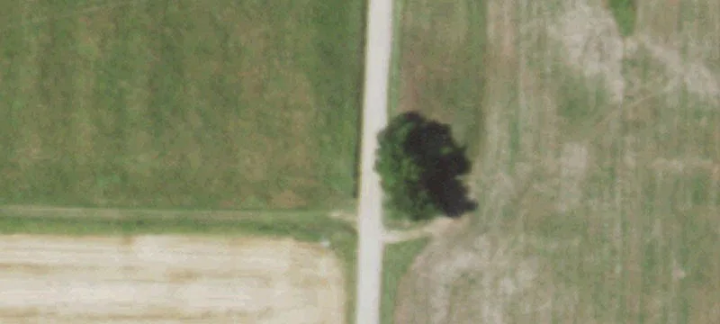 Hunting and Farmland Tract
