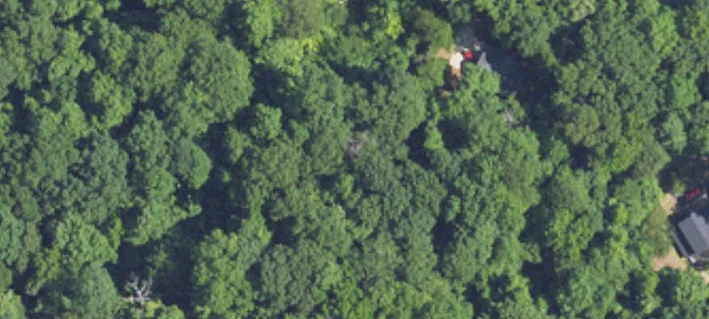 Wooded Residential Development Lot