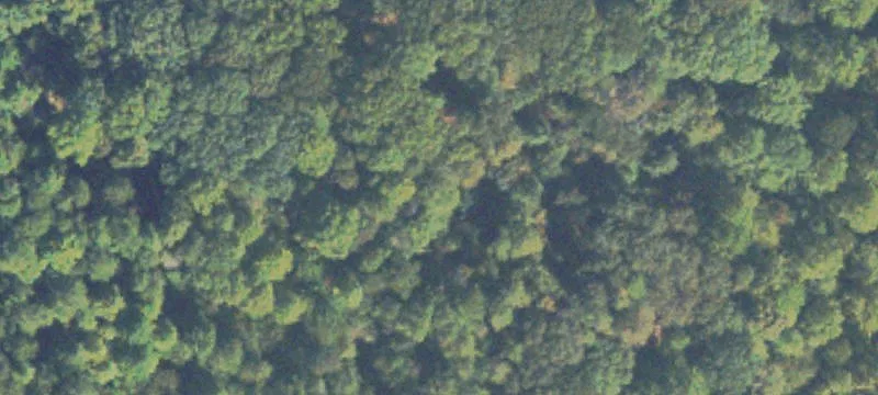 Commercial Land with Highway Frontage